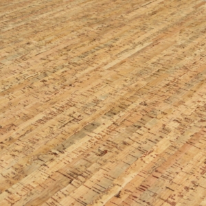 cork line art